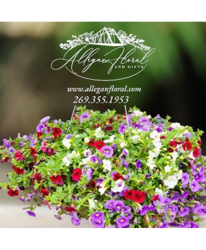 Premium 20 " Coco Lined Hanging Basket 