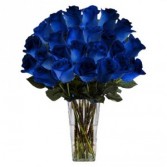 PREMIUM BLUE ROSES 