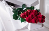 Premium Boxed Roses  Valentine's Day 