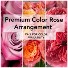 PREMIUM COLOR ROSES Vase Arrangement