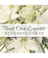 Premium Designer's Choice 