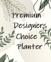 Premium Designers Choice Planter 