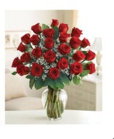 Premium 2 dozen red roses 