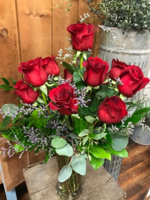 Premium Dozen Rose Arrangement Dozen Big & Beautiful Roses