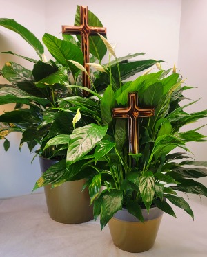  Forever Faithful  Peace Lily Plant W/Hand Made Cross