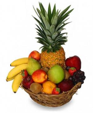 PREMIUM FRUIT BASKET Gift Basket