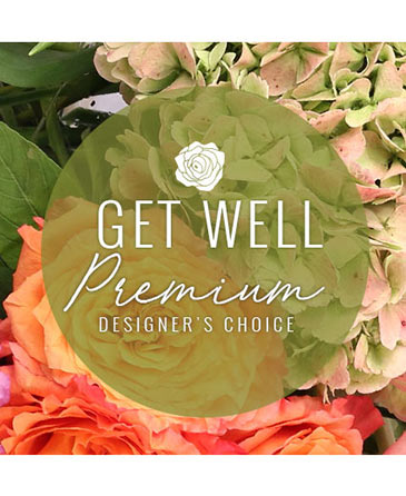Premium Get Well Flowers Designer's Choice in Newark, OH | JOHN EDWARD PRICE FLOWERS & GIFTS