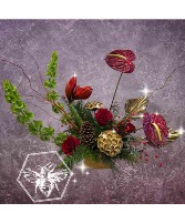 Premium Holiday Designers Choice