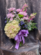 Premium Hydrangea Mix Fresh Flowers