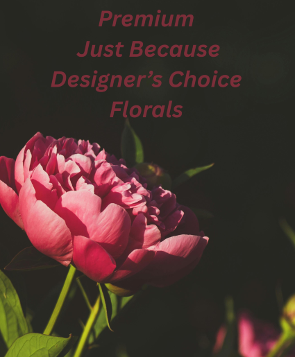 Premium Just Because Designer's Choice