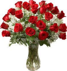 PREMIUM LONG STEM RED ROSES