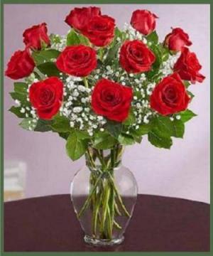 Premium Long Stemmed Roses Your Choice of Color in Arlington, TX | Pantego Florist & Gifts Premium Long Stemmed Roses Your Choice of Color in Arlington, TX | Pantego Florist & Gifts