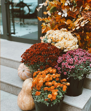 Premium Package Porch Styling