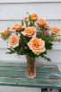 Premium Peach Roses 