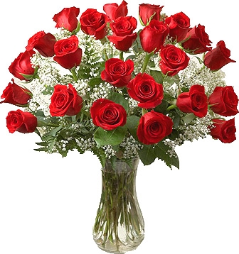 PREMIUM RED ROSES LONG STEMS ARRANGEMENT in Germantown, MD - GENE'S ...