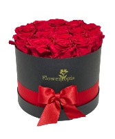 Premium Red 16 Long Lasting Preserved Red Roses