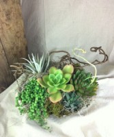 Deluxe Succulent Garden in Local Pottery Succulent Garden