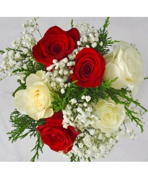 Presentation bouquets with 3 red and 3 white Roses wrapped in cellophane with watertubes and bow!