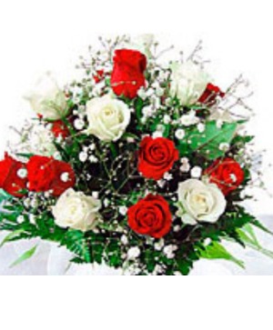 Presentation bouquets with 6 red and 6 white Roses wrapped with baby's breath and watertubes.
