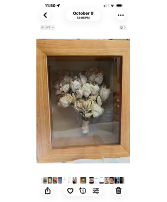 preservation/freeze dry 