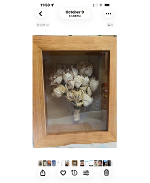 preservation/freeze dry 