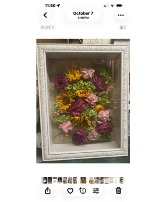 preservation/freeze dry 