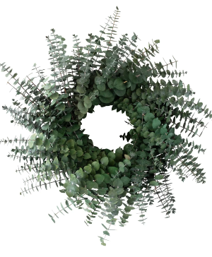 Preserved Baby Eucalyptus Wreath 