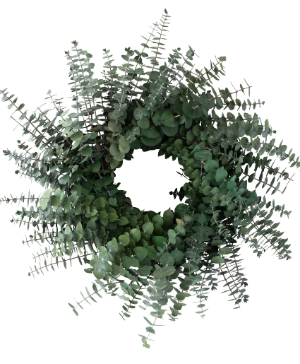 Preserved Baby Eucalyptus Wreath 