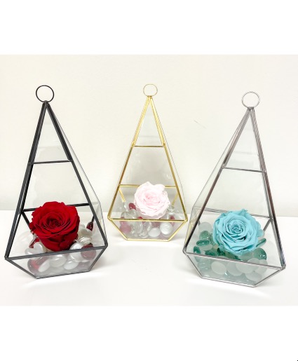 Preserved Rose 