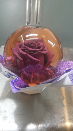 Preserved Rose Globe (Purple)