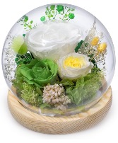 Preserved Rose Globe Green Gifts
