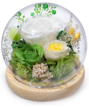 Preserved Rose Globe Green Gifts