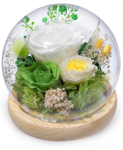 Preserved Rose Globe Green Gifts