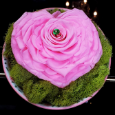 Preserved Rose Pink Heart Preserved Rose