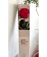 Preserved Single Rose  Gift