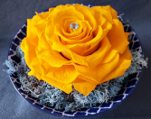 Preserved Rose Single Yellow Preserved Rose