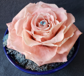 Preserved Rose Single Pink Preserved Rose