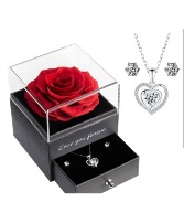 Preserved Rose w/ Necklace  
