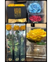 Preserved Rose Clearance Fresh/Preserved