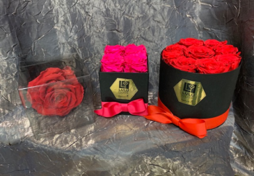 Preserved Roses Fresh/Preserved in Tishomingo, OK | Sara's Heartfelt Flowers & Gifts