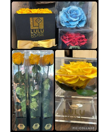 Preserved Rose Clearance Fresh/Preserved in Tishomingo, OK | Willow & Company Flower Shop