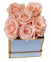 Preserved roses in a gift box Gift