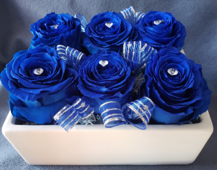 Preserved Roses 6 Blue Preserved Roses