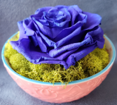 Preserved Rose Single Blue Preserved Rose