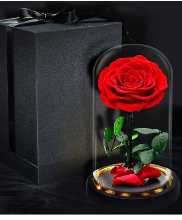 Preserved Rose in Glass dome  Elegantly displayed in gift box  in Ozone Park, NY | Heavenly Florist