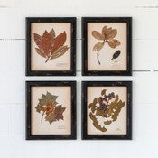 Pressed Botanical Prints, 4 Assorted Style Gifts