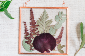 Burgundy Reds Pressed Flowers