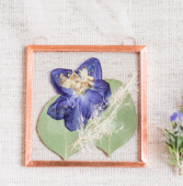 Pressed Larkspur and Eucalyptus Pressed Flowers