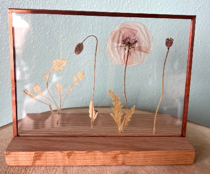 Pressed Poppy's Pressed Flowers