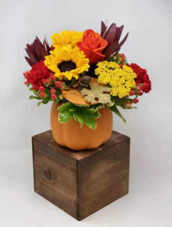 Prettiest in the Pumpkin Patch Autumn Arrangement